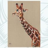 Georgina MacMasters - Gentle Giant